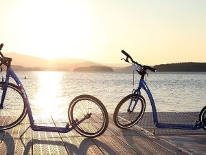 WellnessFit Pro